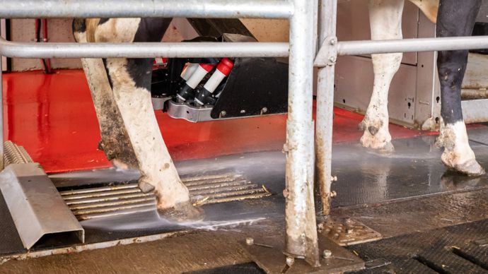 Lely Meteor Single 3.0