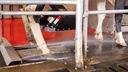 Lely Meteor Single 3.0
