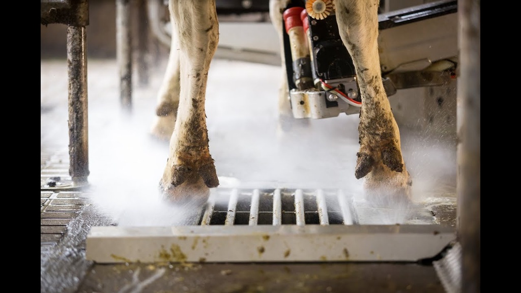Lely Meteor Single 3.0