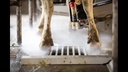 Lely Meteor Single 3.0