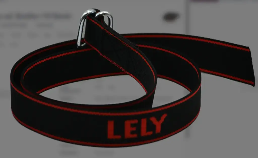 Halsband mit Logo/Streifen (1 Stück) 