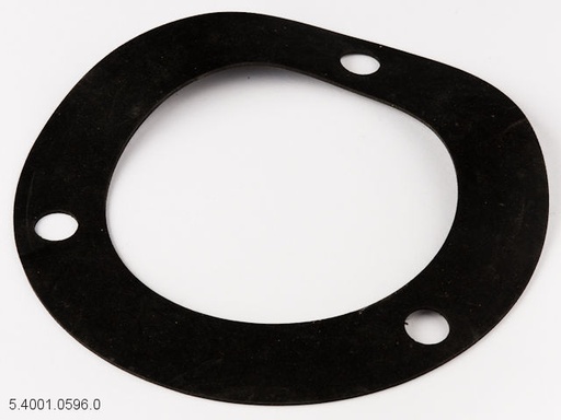 [5.4001.0596.0] Dichtung Lagergehäuse-Antriebsrad 