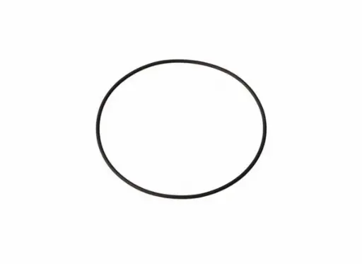 [5.9000.0047.0] O-Ring Milchmesser